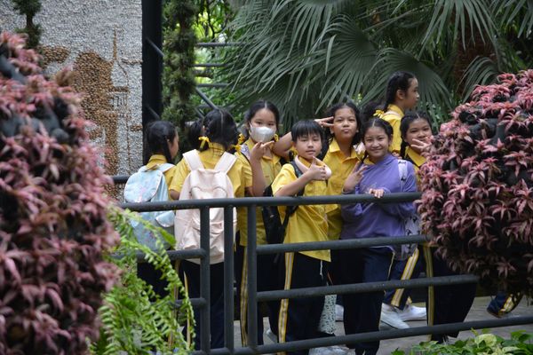 โรงเรียนปรีชานุศาสน์